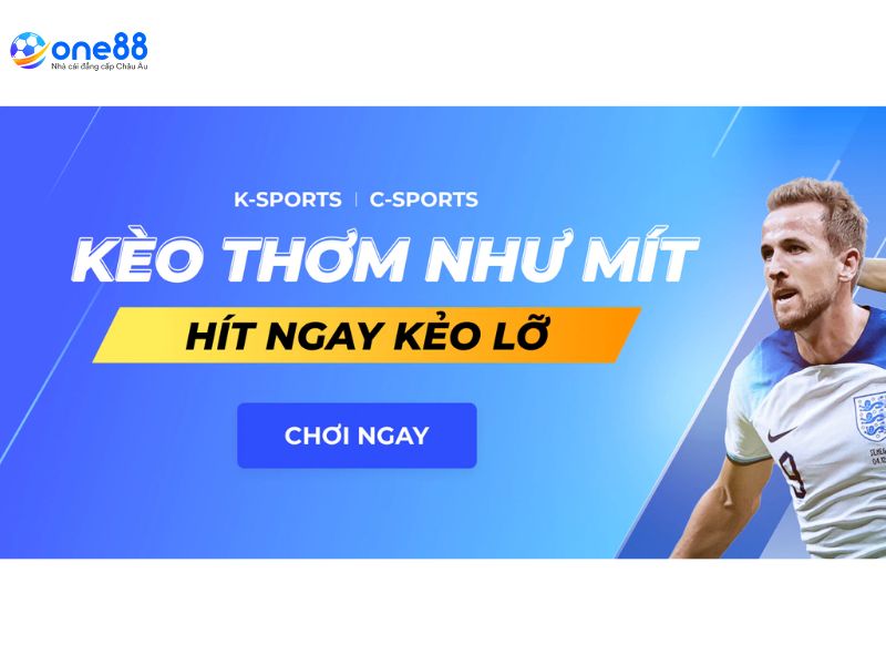 Hàng nghìn trận đấu thể thao mỗi tháng