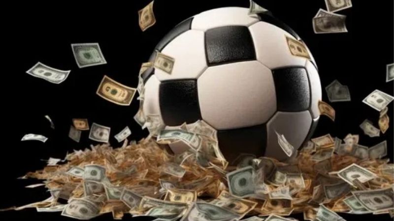 Tip Nội Gián Trong Cá Cược | Khi Người Chơi Bị Dẫn Dắt