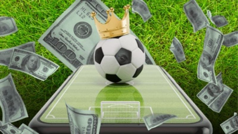 Tip Nội Gián Trong Cá Cược | Khi Người Chơi Bị Dẫn Dắt