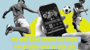 Tip Nội Gián Trong Cá Cược | Khi Người Chơi Bị Dẫn Dắt