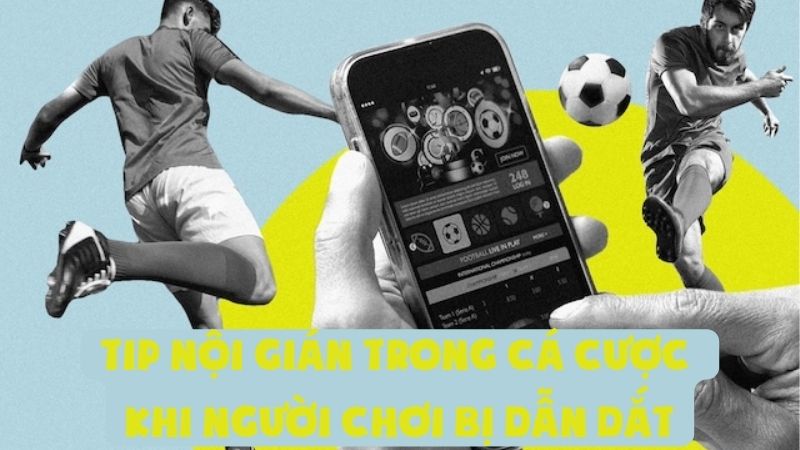 Tip Nội Gián Trong Cá Cược | Khi Người Chơi Bị Dẫn Dắt